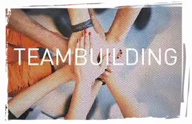 TİMBİLDİNQİN TƏŞKİLİ 